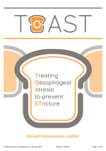 Thumbnail preview of the file.