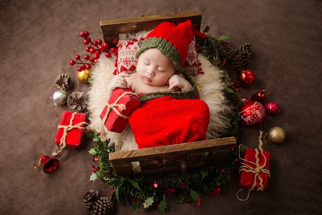 Christmas Newborn