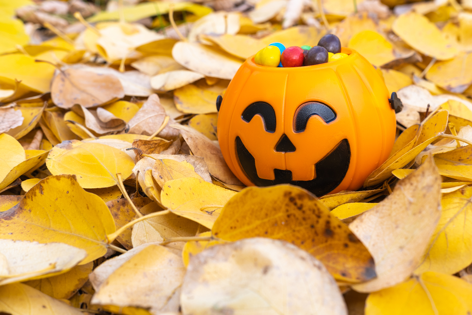 Image of pumpkin bucket on a background of autumn leaves